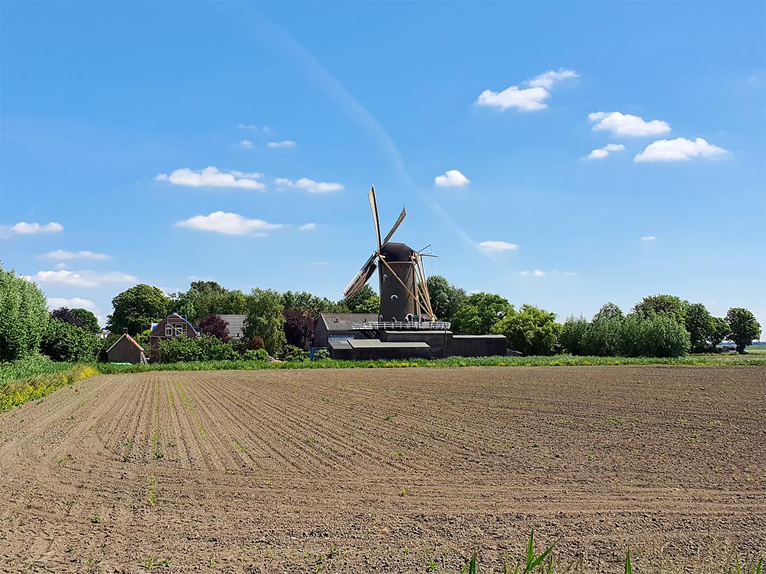 6, Molen 01865 De Oude Molen (Fijnaart), Pieter Zuijkerbuijk (27-5-2020) | Database Nederlandse molens media-bestand