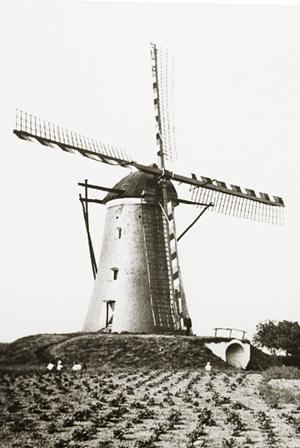 Molen 02790 De Zwarte Molen (Posterholt), afb. coll. DHM | Database Nederlandse molens media-bestand