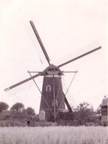 1, Molen 02578 Meule van Swinkels / Nooit Gedacht (Schaijk), Foto: J. de Groot, 20 juli 1957 | Database Nederlandse molens media-bestand