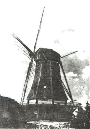1, Molen 01015 Molen van Gerritsen (Okkenbroek), Afb. afkomstig van het Zaagblad,coll. fam. Gerrits | Database Nederlandse molens media-bestand