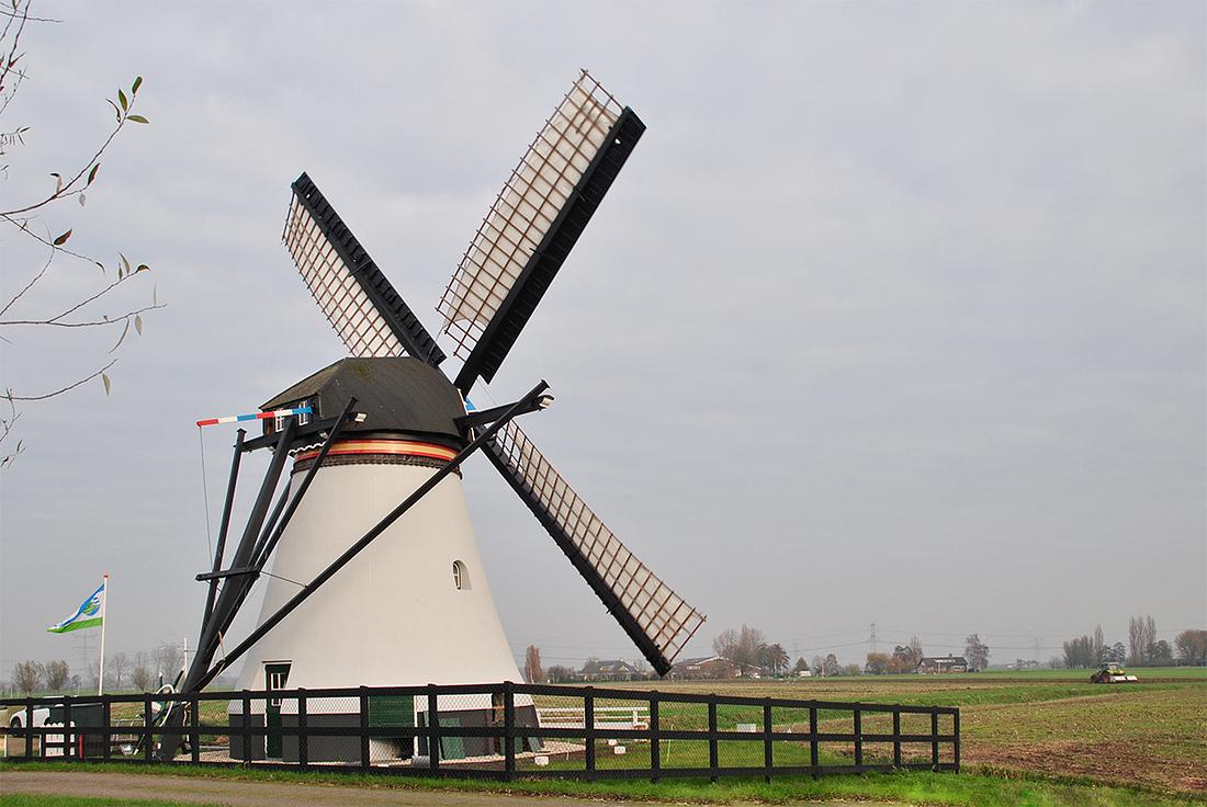 3, Molen 02569 Souburgse Molen (Alblasserdam), Kees Kammeraat (28-11-2020) | Database Nederlandse molens media-bestand