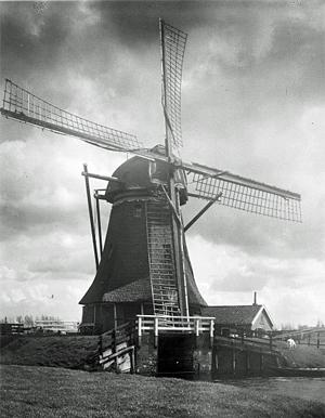 1, Molen 00055 Gnephoekpolder, Gnephoekmolen (3e) (Alphen aan den Rijn), De complete windmolen (Foto: n.n.) | Database Nederlandse molens media-bestand