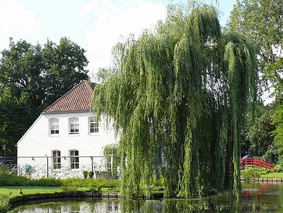 1, Molen 02816 a Panhuismolen (Venlo), foto Marnix Bogaert 22 juli 2008 | Database Nederlandse molens media-bestand
