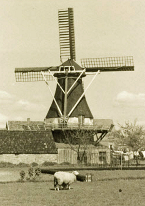 1, Molen 06423 De Werkman / De molen van Wilts (Blijham), Foto: 1 mei 1946, coll. DHM | Database Nederlandse molens media-bestand