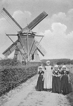 Molen 04897 De Grenadier (Driewegen), Ansichtkaart | Database Nederlandse molens media-bestand