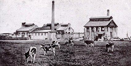 1, Molen 10062 Buskruitmolen No. 3/ De Oude Molen (Ouderkerk aan de Amstel), De oude buskruitfabriek | Database Nederlandse molens media-bestand