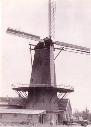 1, Molen 00860 De Welvaart (Groessen), Foto: F.de Groot, opname 19-7-1957 | Database Nederlandse molens media-bestand