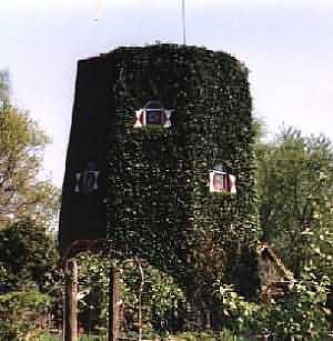 2, Molen 02882 a Korenmolen van Dochteren (Groot Dochteren), Foto: A.M. Riper (1994) | Database Nederlandse molens media-bestand