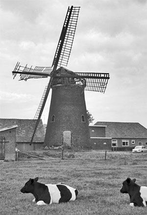 1, Molen 03108 Molen van Lukassen (Varsselder), Foto: coll. W.A. Korpershoek aug. 1971 | Database Nederlandse molens media-bestand