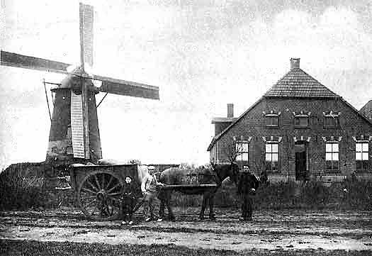 2, Molen 03135 Coopsmolen / Molen van Coops (Halle), Ansichtkaart (coll. Rob Pols) | Database Nederlandse molens media-bestand