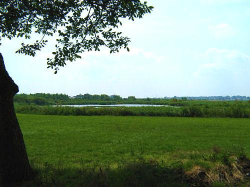 1, Molen 01265 Polder Kijfhoek, Kijfhoekmolen (Zwijndrecht), Foto: K. Sonneveld, 27 juli 2008In het midden van de foto, aan de overkant de loc. van de molen | Database Nederlandse molens media-bestand