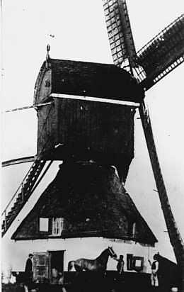 Molen 01768 s Grote Wipkorenmolen / De Hoop (Est), Ansichtkaart, serie 6, nr 1. Foto W.O. Bakker, coll. DVM | Database Nederlandse molens media-bestand