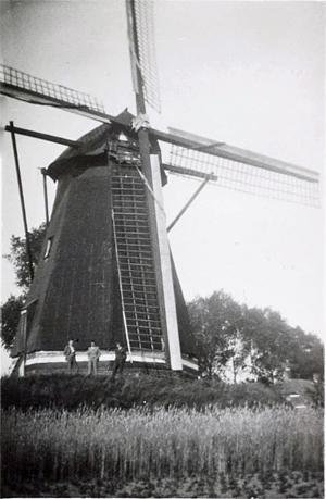 1, Molen 01944 Levenslust (Wanroij), Foto: coll. DHM | Database Nederlandse molens media-bestand