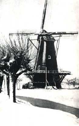 1, Molen 01271 Willem de Tweede (Dubbeldam), Ansichtkaart Serie 81, nr. 5 | Database Nederlandse molens media-bestand