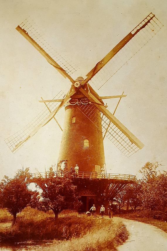 3, Molen 01271 Willem de Tweede (Dubbeldam), Afb. coll. W.A. Korpershoek | Database Nederlandse molens media-bestand