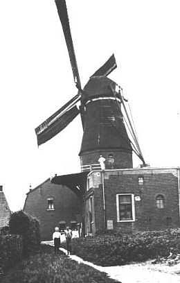 Molen 00219 Molen van Peeters-Rooyackers / Pero-molen (Maasbree), Ansichtkaart Serie 53 nr. 2 | Database Nederlandse molens media-bestand