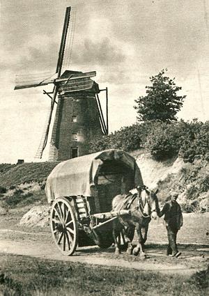 1, Molen 02796 (korenmolen) (Montfort), Afbeelding uit Ons Zuiden, 22 juli 1932, coll. Frans Weemaes | Database Nederlandse molens media-bestand