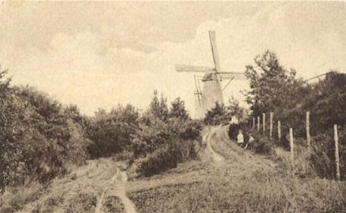 1, Molen 01624 c Plasmolen (Plasmolen), Ansichtkaart, collectie H. Kaak | Database Nederlandse molens media-bestand