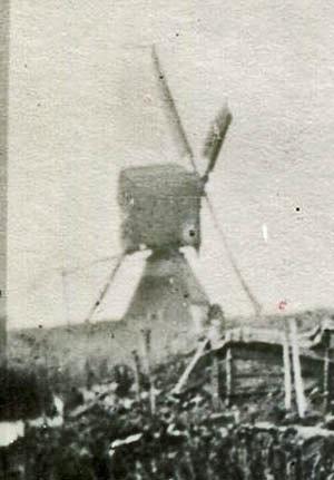Molen 00818 a Waterschap Willeskop, Kort Heeswijk en Blokland, Peilmolen (Willeskop), deel van onderstaande foto | Database Nederlandse molens media-bestand