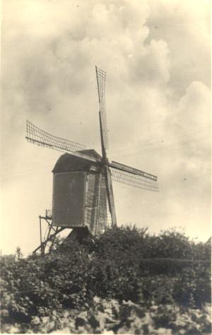 Molen 00265 De Batavier / De Planken Molen (Elst), Ansichtkaart, collectie Ton Meesters | Database Nederlandse molens media-bestand