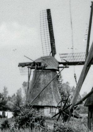 Molen 03716 Giethoornsche Polder (Z) (Giethoorn), Uitsnede van onderstaande foto | Database Nederlandse molens media-bestand