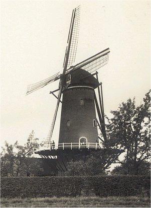 Molen 01216 Wilhelmina (Horssen), deel onderstaande ansichtkaart | Database Nederlandse molens media-bestand