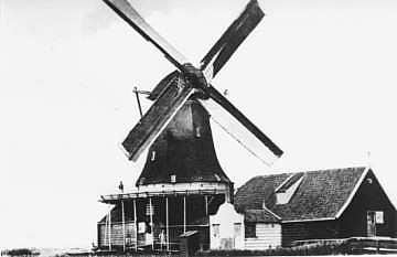 Molen 01777 o De Jonge Wildeman (Koog aan de Zaan), Ansichtkaart nr. 136 (uitg. K. Tanger), de molen gefotografeerd in 1869 door fotograaf Breebaard | Database Nederlandse molens media-bestand