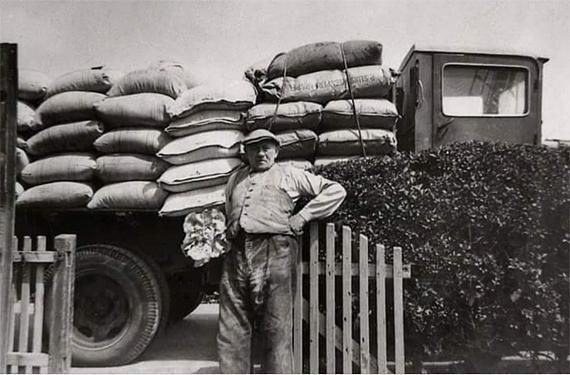 3, Molen 02766 De Kersenboom (Rijsoord), Foto: Job de Kool (coll. Tom Blaak) | Database Nederlandse molens media-bestand