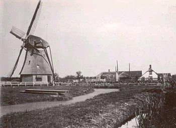 2, Molen 01544 a Wippolder (Den Haag), Foto collectie DVM | Database Nederlandse molens media-bestand