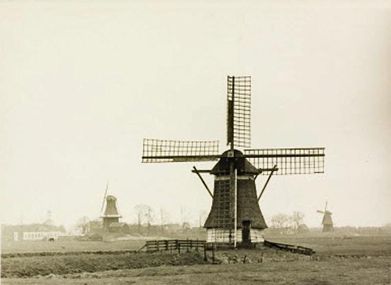 1, Molen 03244 Hoedemakerspolder (Dokkum), foto opn 1949 coll SMD, vlnr. De Zeldenrust, molen vd Hoedemakerspolder, De Hoop | Database Nederlandse molens media-bestand