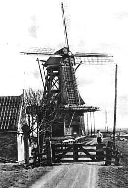 Molen 02547 De Jonge Ruiter (Hensbroek), Foto: n.n., coll. DVMafbraak van de molen in 1929 | Database Nederlandse molens media-bestand