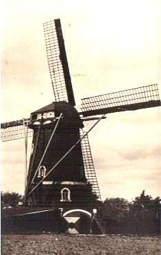 Molen 01958 St. Anthoniusmolen (Venray), Foto: collectie Fons Gerrits | Database Nederlandse molens media-bestand