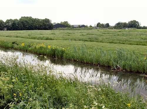 1, Molen 00999 a Oostzijdsche Polder, De Dorreweerd (Baambrugge), Foto: M. Hooijberg, opname 18 mei 2008de vm molenplaats, een lichte verhoging in het land | Database Nederlandse molens media-bestand