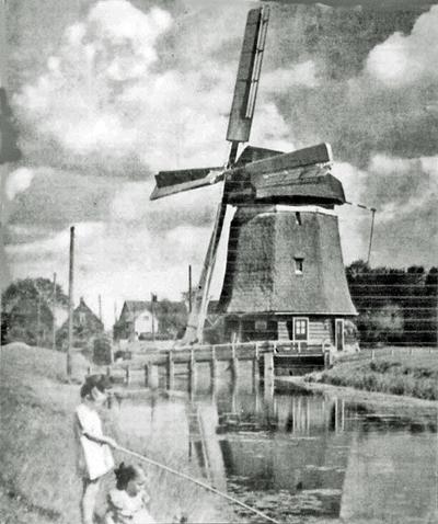 1, Molen 00332 Hooglandspolder, De Hogelandsmolen (Barsingerhorn), De molen met Bilau-wieken | Database Nederlandse molens media-bestand