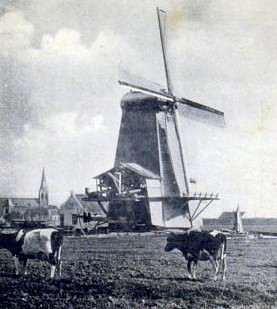 Molen 02552 j 't Fortuin (Buiksloot), Ansichtkaart collectie Rob Pols | Database Nederlandse molens media-bestand