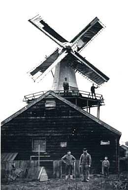 Molen 01106 De Zwarte Ruiter (Zaandijk), Foto: ansichtkaart nr. 191 (uitg. K. Tanger) | Database Nederlandse molens media-bestand