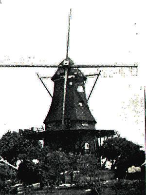 Molen 00642 (korenmolen) (2e) (Oostwolderhamrik), Krantenart., de molen met één kale roede en één nog opgehekt (coll. H. v.d. Wal) | Database Nederlandse molens media-bestand