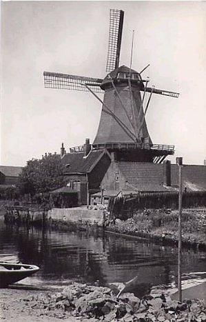 Molen 03940 l De Pelikaan (Dordrecht), Ansichtkaart uitg.Koos Versteeg, opname 1925 circa | Database Nederlandse molens media-bestand