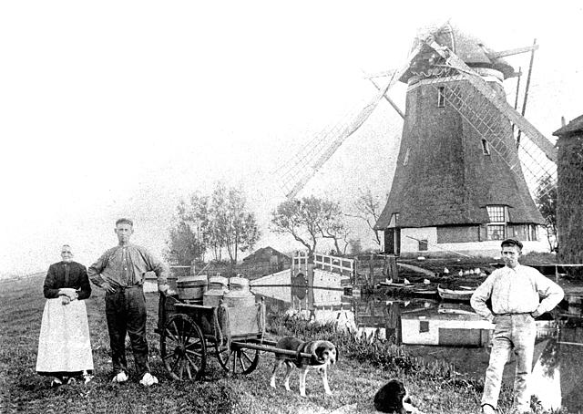 1, Molen 00926 Eendragtspolder, Nr. 8Bovenmolen (Zevenhuizen), Foto coll. Arie Dekker | Database Nederlandse molens media-bestand