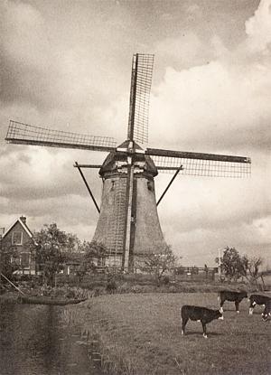 1, Molen 01792 bis Polder Snelrewaard, Zuid Linschoten, Schagen en den Eng (Oudewater), Foto uit 1926 (coll. DHM) | Database Nederlandse molens media-bestand