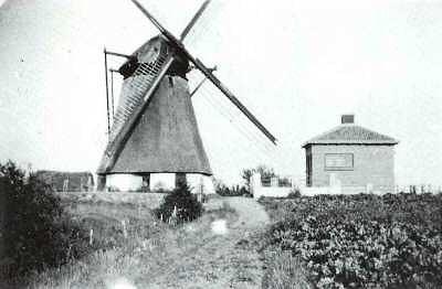 1, Molen 00253 Polder Deil, Deilsche Watermolen (Deil), Prentbriefkaart | Database Nederlandse molens media-bestand