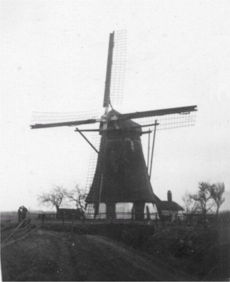Molen 01178 Polder Nieuwaal /De Niwaalsche Poldermolen (Nieuwaal), Foto: coll. Ton Meesters | Database Nederlandse molens media-bestand