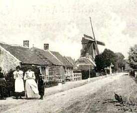 Molen 03329 a Molen van Luteyn (St. Kruis), Foto: onbekend | Database Nederlandse molens media-bestand