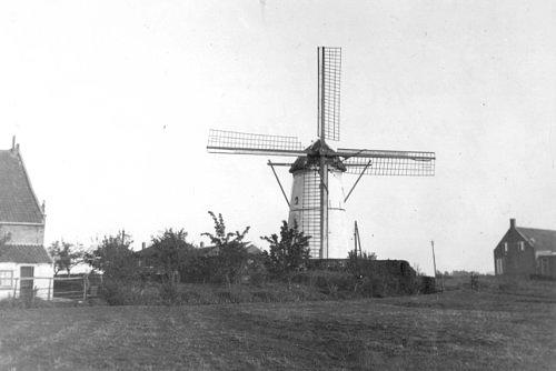 1, Molen 03608 De Greupmolen (Westmaas), Foto: collectie T. Meesters | Database Nederlandse molens media-bestand