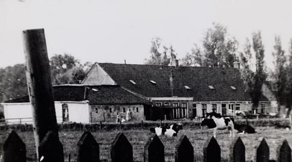 2, Molen 01441 b De Hen (Sneek/ Snits), het onderstuk met de arbeiderswoningen na 1899 | Database Nederlandse molens media-bestand