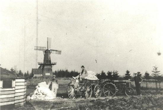 1, Molen 13150 Molentje van Van Oort (Kootwijk), Foto: n.n. (coll. Peter van den Dongen) | Database Nederlandse molens media-bestand