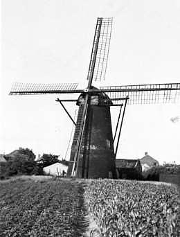 Molen 02514 Molen Teurlings (Bladel), Foto: n.n. | Database Nederlandse molens media-bestand
