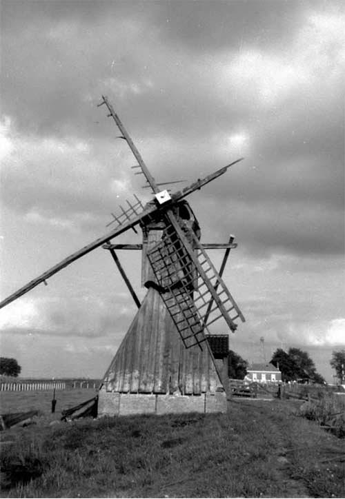 2, Molen 02890 Follegaster polder / Polder 37 (Follega/ Follegea), Foto: P. de Jong 1955-1963 (coll. DHM) | Database Nederlandse molens media-bestand