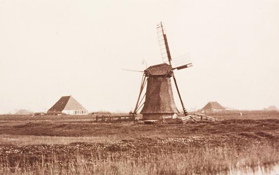 1, Molen 03174 Zuricherpolder (Zurich/ Surch), Fotocoll. DHM | Database Nederlandse molens media-bestand