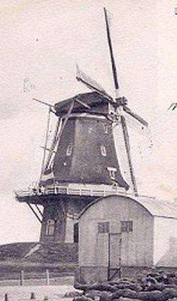 Molen 06425 a De Meermin / De Hoop (Harderwijk), Deel ansichtkaart, afstempeling 12-9-1904, coll.P.van den Berg | Database Nederlandse molens media-bestand